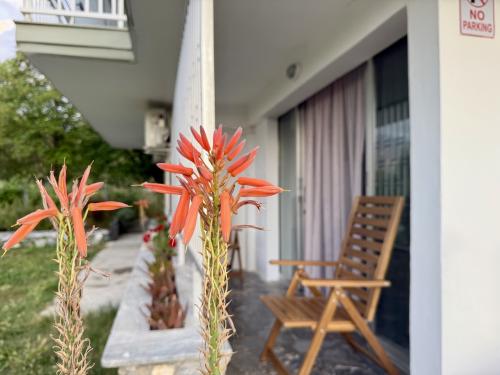 8_r03_balcony