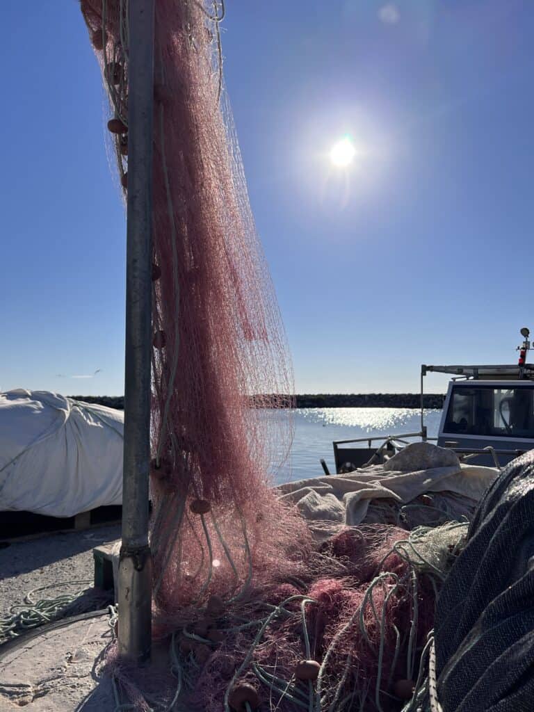 Fischernetze im Hafen von Gritsa Litochoro