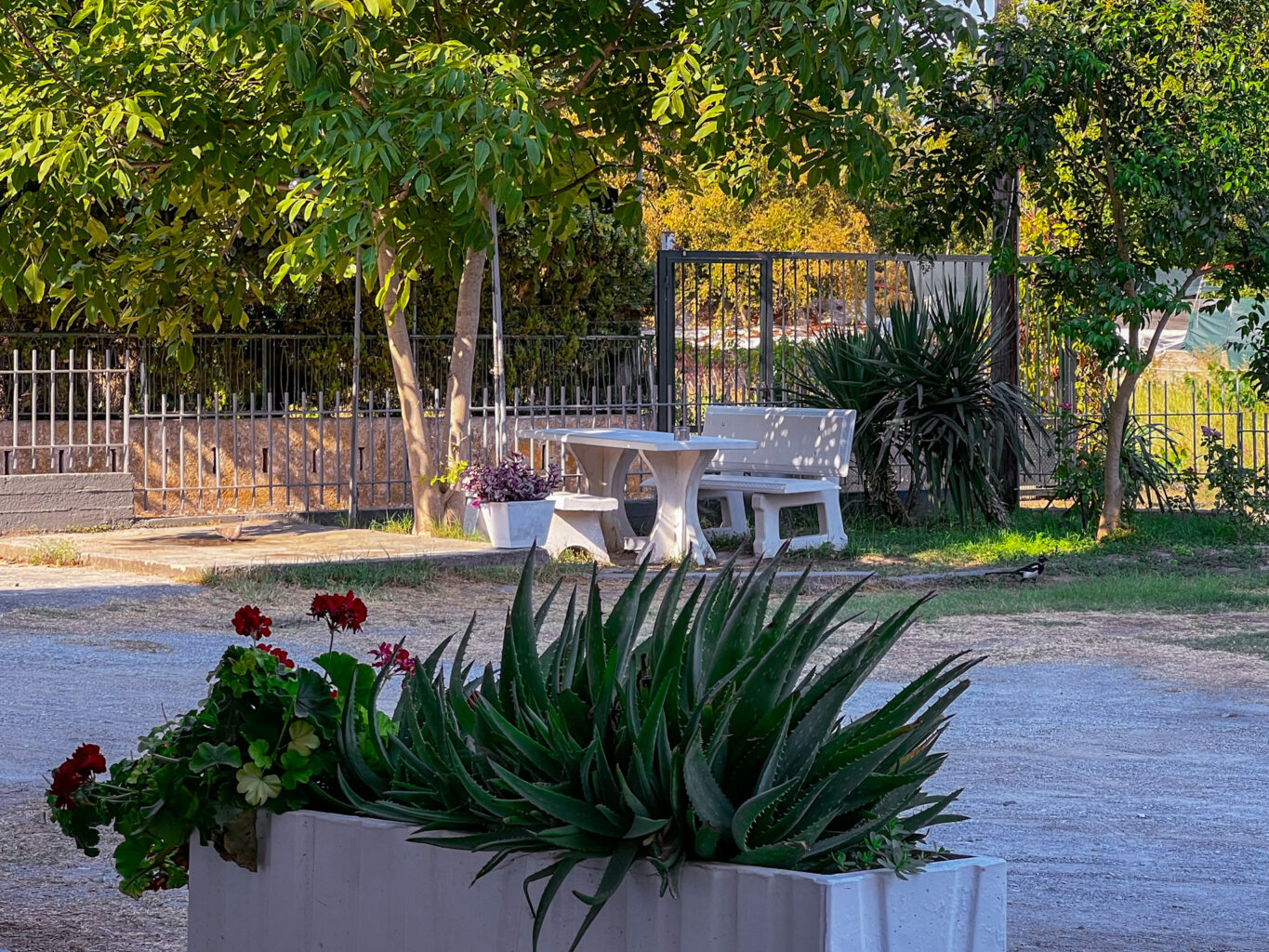 Outdoor seating area with a table and benches, surrounded by greenery and flowering plants.