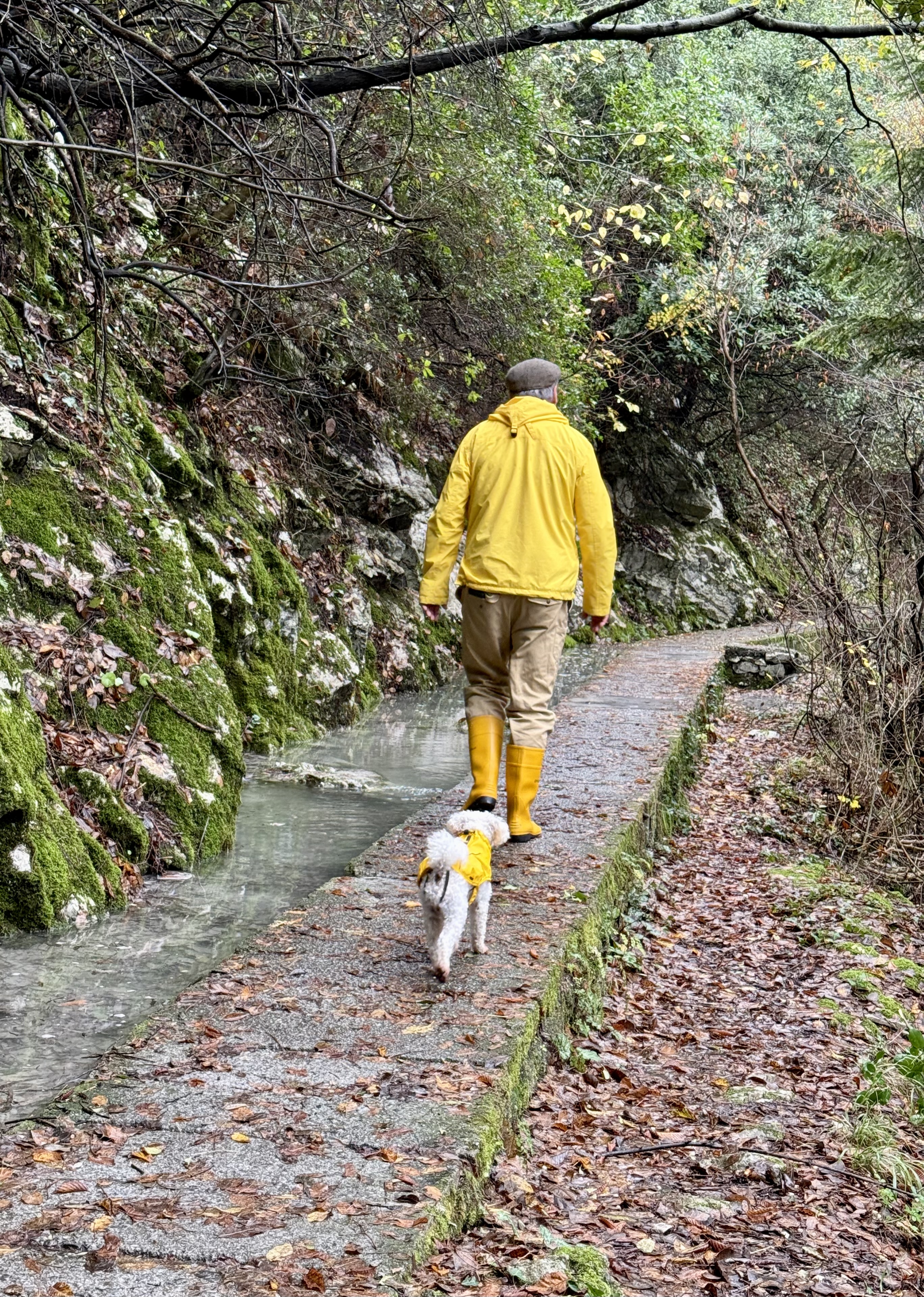 Enipeas gorge trail in October with autumn foliage